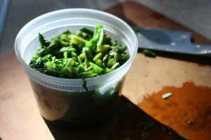 Scapes and Raab Container