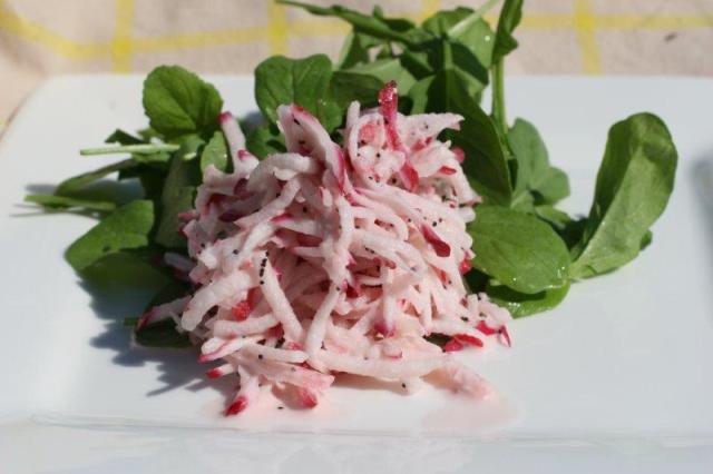 Scarlet Turnips6 Scarlet Turnips