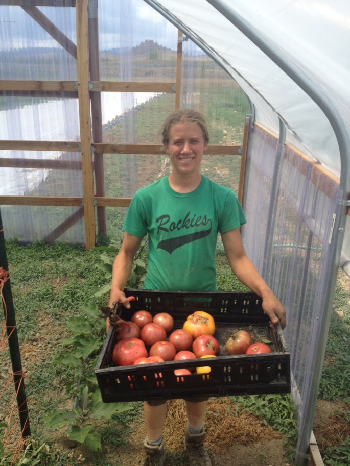 Hannah with Tomatoes
