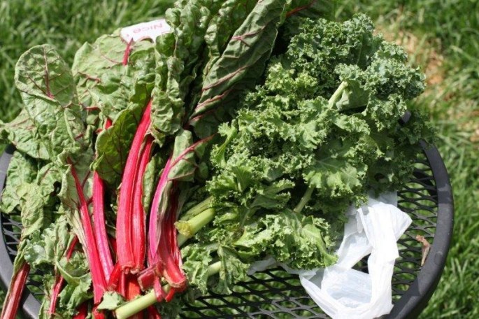 Chard and Kale