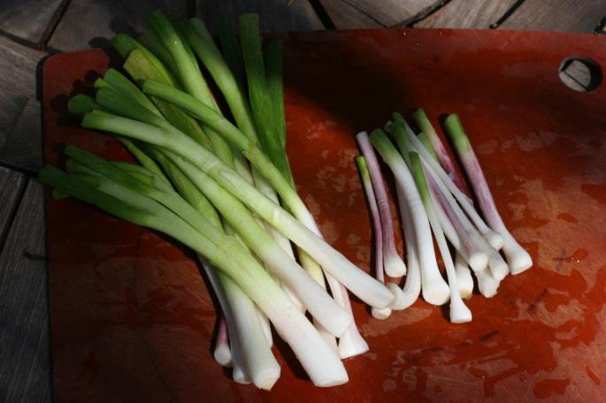 Trimmed Garlic and Onions