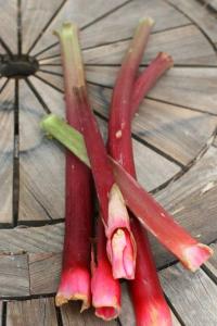 Rhubarb