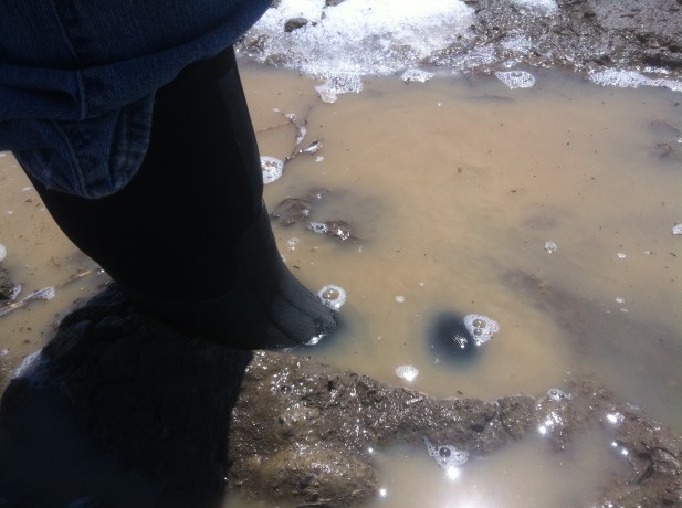 You just can't plant seeds into ankle-deep mud.