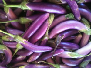 Japanese Eggplant