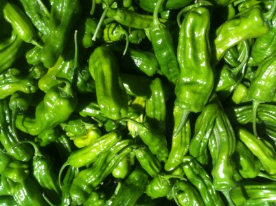 Shishito Peppers