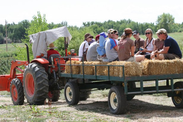 Tractor Ride