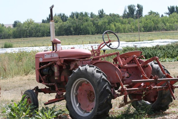 Old Tractor