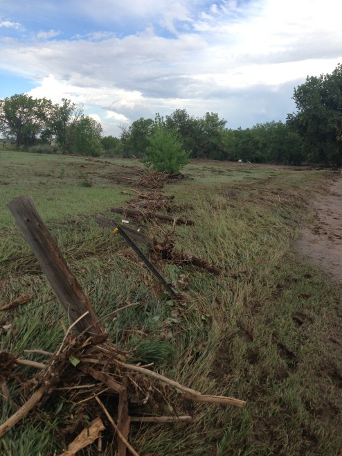 Debris on Bishop property