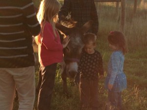 Ellie Belle soaking up the love