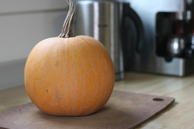 winter luxury pumpkin
