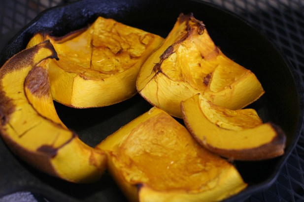 roasted squash
