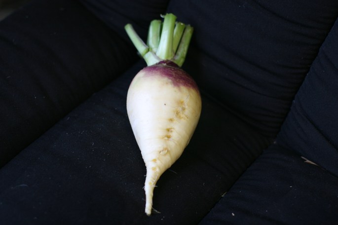 rutabaga