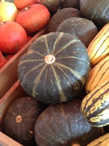 Kabocha Squash