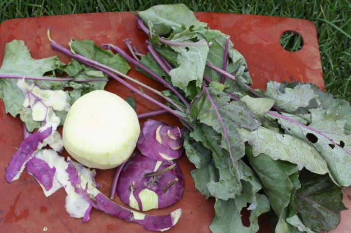 Kohlrabi