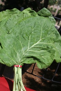 Collards