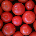 Red Tomatoes