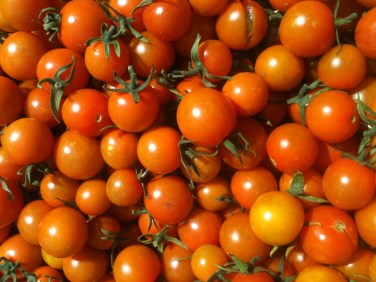 Cherry Tomatoes