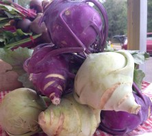 Kohlrabi