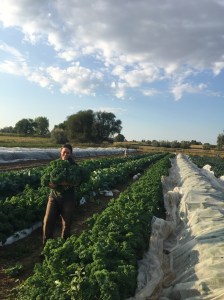 A match made in heaven:  Lauren & Kale
