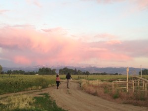 Morning Harvest at Teller