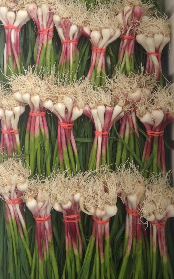 Green Garlic ready to go