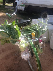 Best way to grab your share!