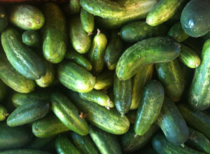 recipes_cucumbers