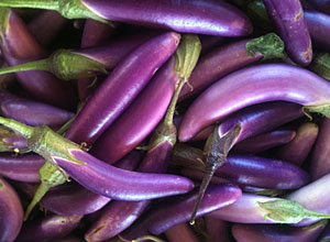 Japanese eggplant