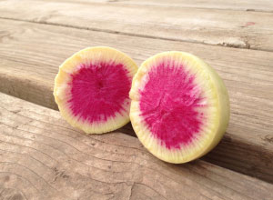 Watermelon Radish