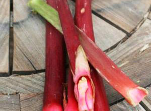 recipes_rhubarb