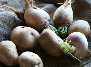 recipes_rutabaga