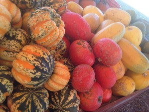 Winter Squash