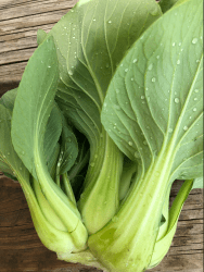 Bok Choi
