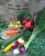 Red Wagon Farm photo 5