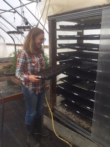 Kai checking the germinator