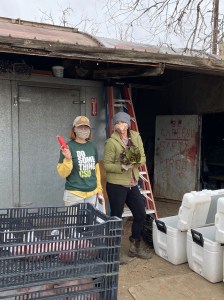 Kai and Jenny getting your CSA shares packed up for this afternoon.